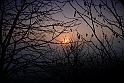 S. Damiano d'Asti - Alba_017